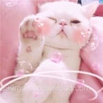 صارف کا اواتار