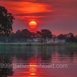 صارف کا اواتار